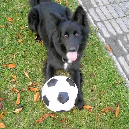 Schattmann Appartement Sonsbeck