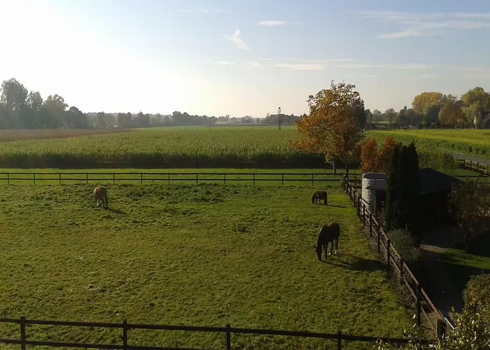 Schattmann * Sonsbeck