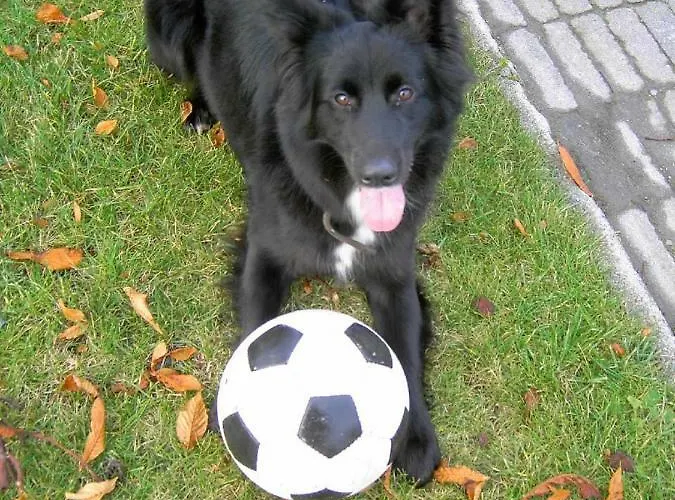 Schattmann Appartement Sonsbeck